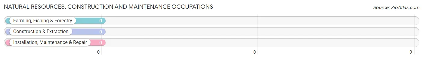 Natural Resources, Construction and Maintenance Occupations in Woden