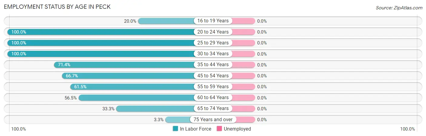 Employment Status by Age in Peck