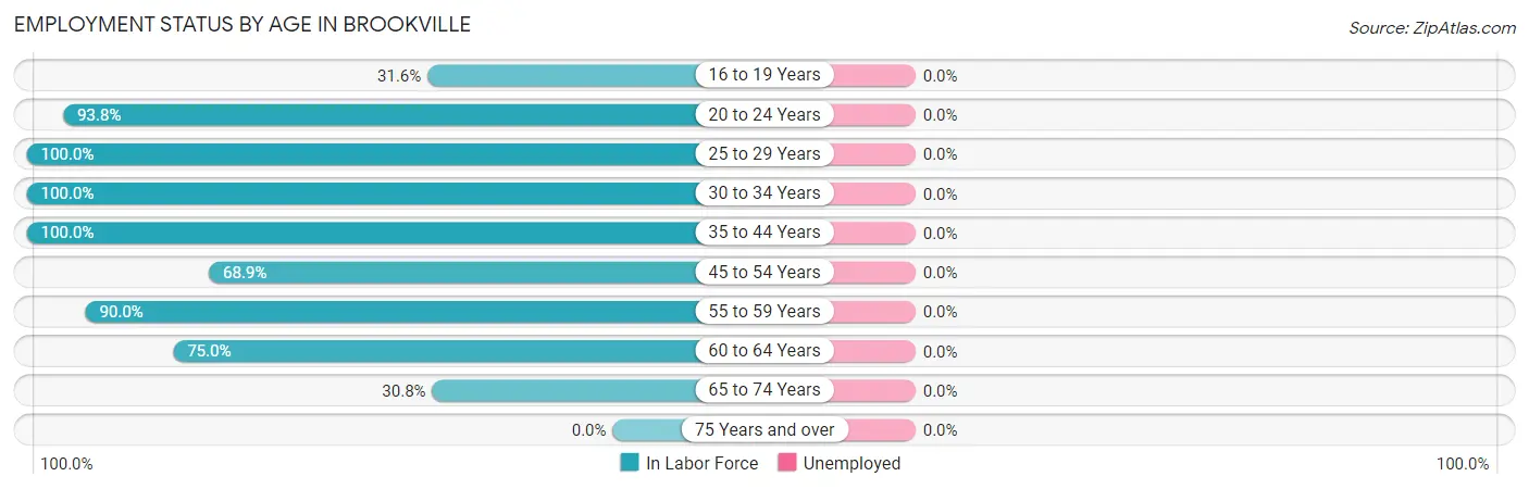 Employment Status by Age in Brookville