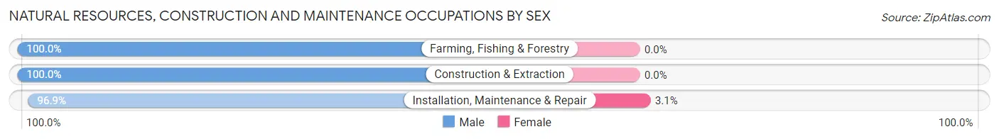 Natural Resources, Construction and Maintenance Occupations by Sex in Gardner