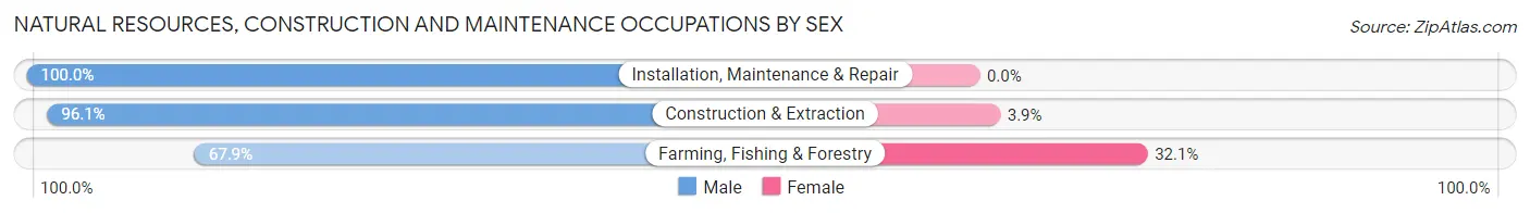 Natural Resources, Construction and Maintenance Occupations by Sex in Manhattan