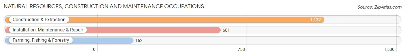 Natural Resources, Construction and Maintenance Occupations in Manhattan