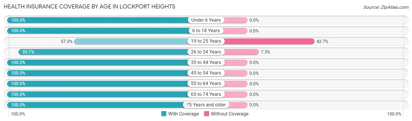 Health Insurance Coverage by Age in Lockport Heights