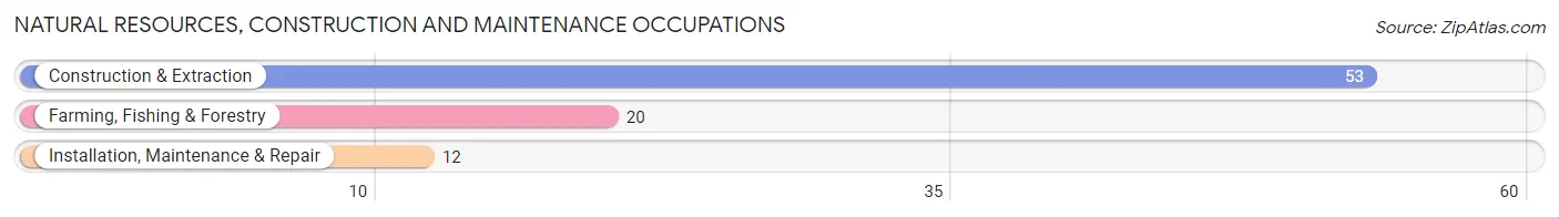 Natural Resources, Construction and Maintenance Occupations in Lockport Heights