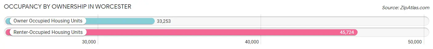Occupancy by Ownership in Worcester