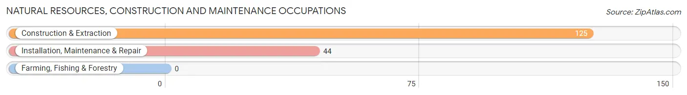 Natural Resources, Construction and Maintenance Occupations in Garrison