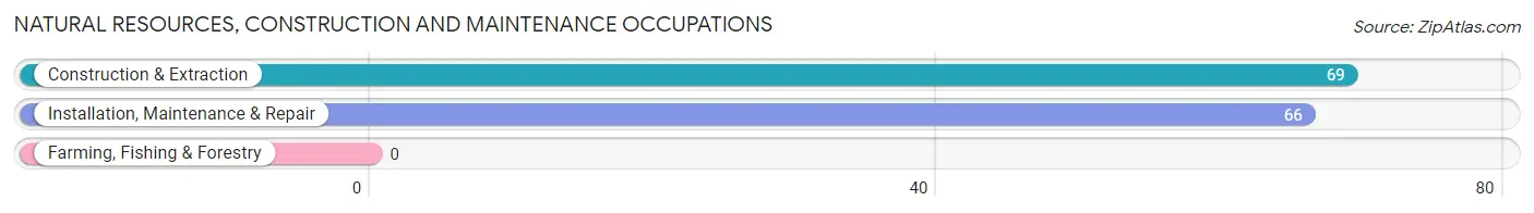 Natural Resources, Construction and Maintenance Occupations in Lutherville