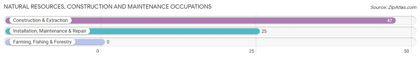 Natural Resources, Construction and Maintenance Occupations in Oakland