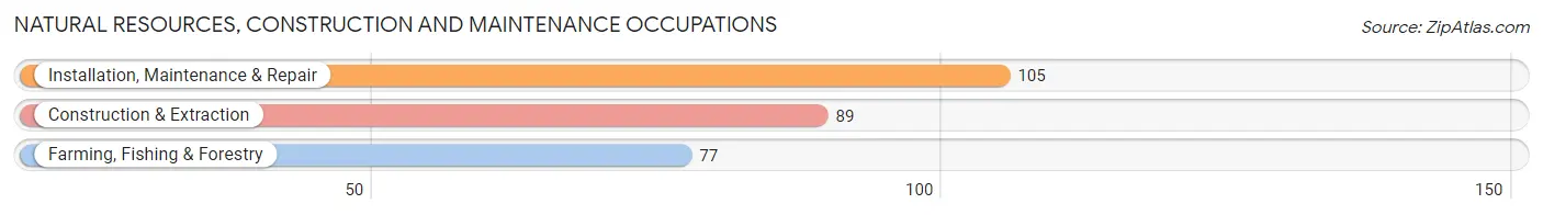 Natural Resources, Construction and Maintenance Occupations in Timonium