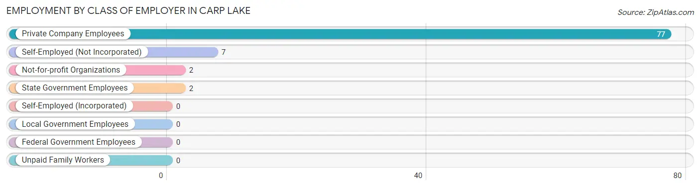 Employment by Class of Employer in Carp Lake