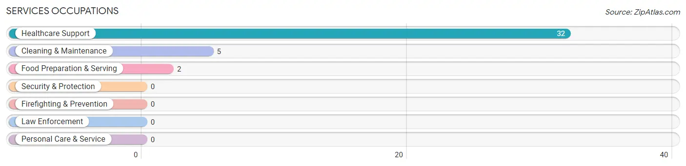 Services Occupations in Carp Lake