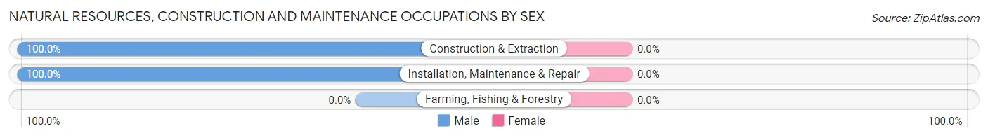 Natural Resources, Construction and Maintenance Occupations by Sex in Clifford