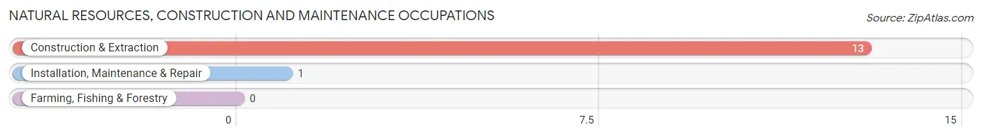 Natural Resources, Construction and Maintenance Occupations in Clifford