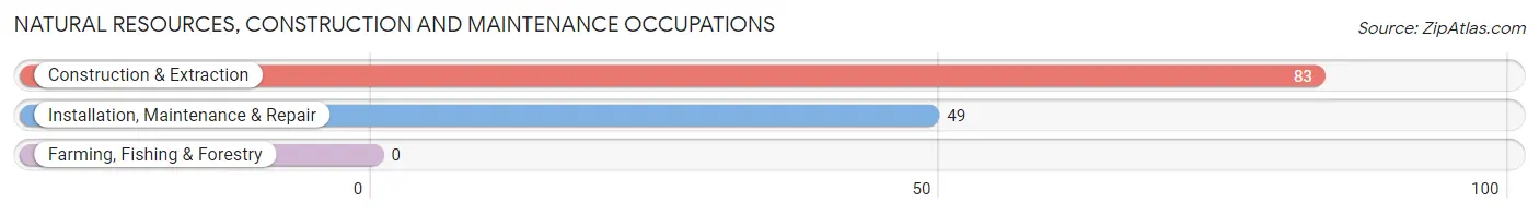 Natural Resources, Construction and Maintenance Occupations in Kingsley