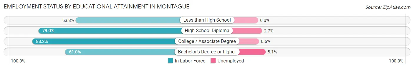 Employment Status by Educational Attainment in Montague