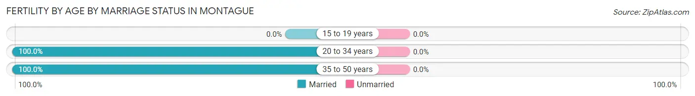 Female Fertility by Age by Marriage Status in Montague