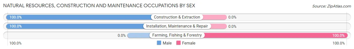 Natural Resources, Construction and Maintenance Occupations by Sex in Montague