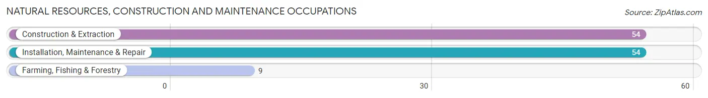 Natural Resources, Construction and Maintenance Occupations in Montague