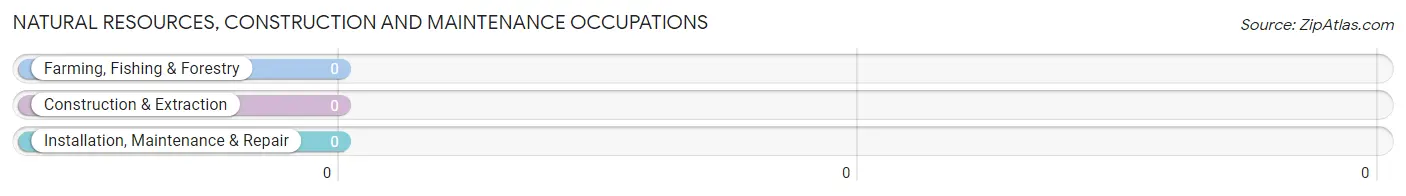 Natural Resources, Construction and Maintenance Occupations in Rock