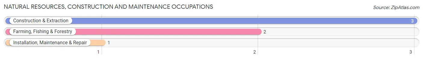 Natural Resources, Construction and Maintenance Occupations in Rothbury