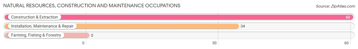 Natural Resources, Construction and Maintenance Occupations in Watervliet