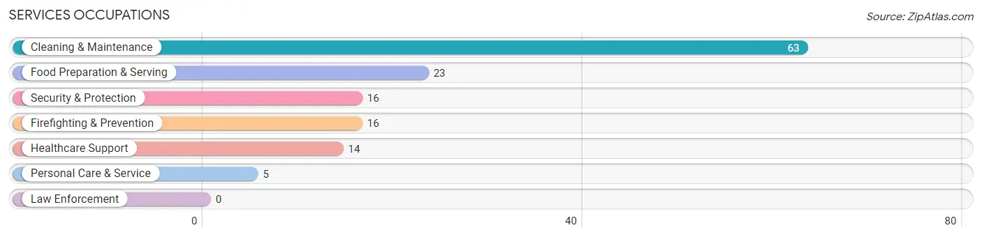 Services Occupations in Watervliet