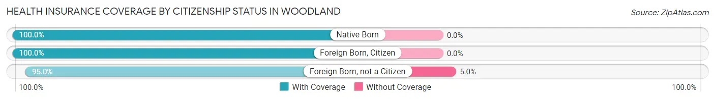 Health Insurance Coverage by Citizenship Status in Woodland