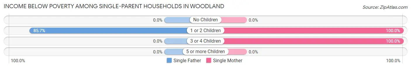 Income Below Poverty Among Single-Parent Households in Woodland