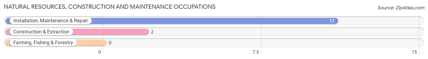 Natural Resources, Construction and Maintenance Occupations in Woodland