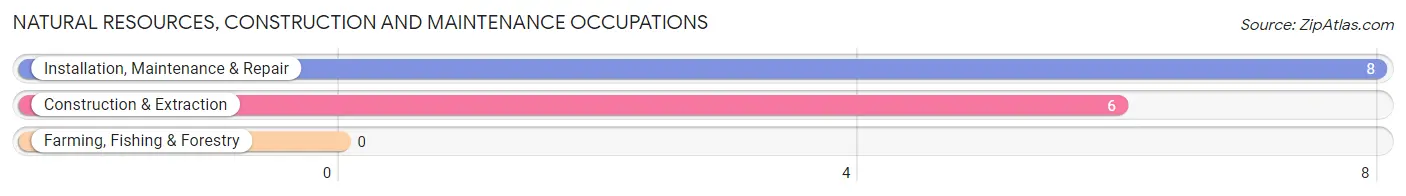 Natural Resources, Construction and Maintenance Occupations in Marine on St Croix