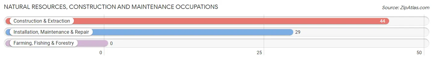 Natural Resources, Construction and Maintenance Occupations in Diamond