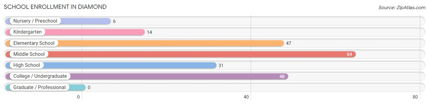 School Enrollment in Diamond