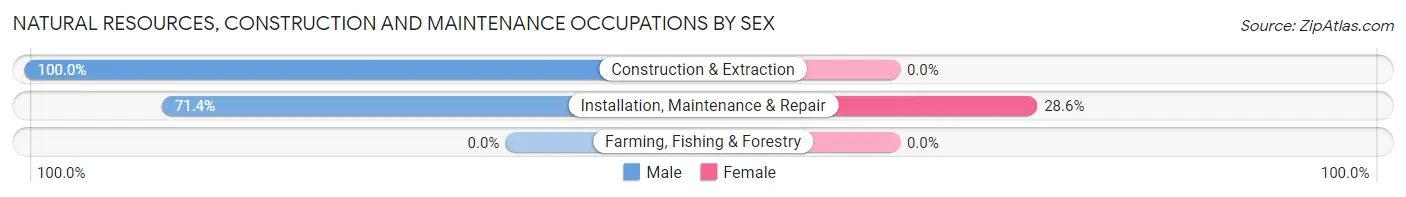 Natural Resources, Construction and Maintenance Occupations by Sex in Drexel