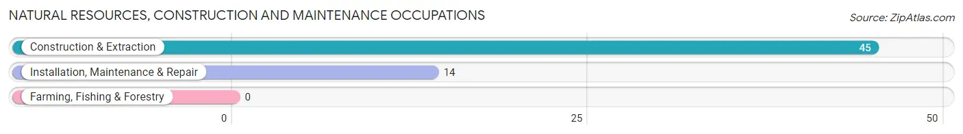 Natural Resources, Construction and Maintenance Occupations in Drexel