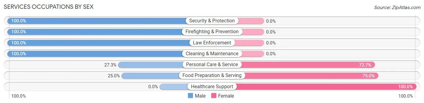 Services Occupations by Sex in Drexel