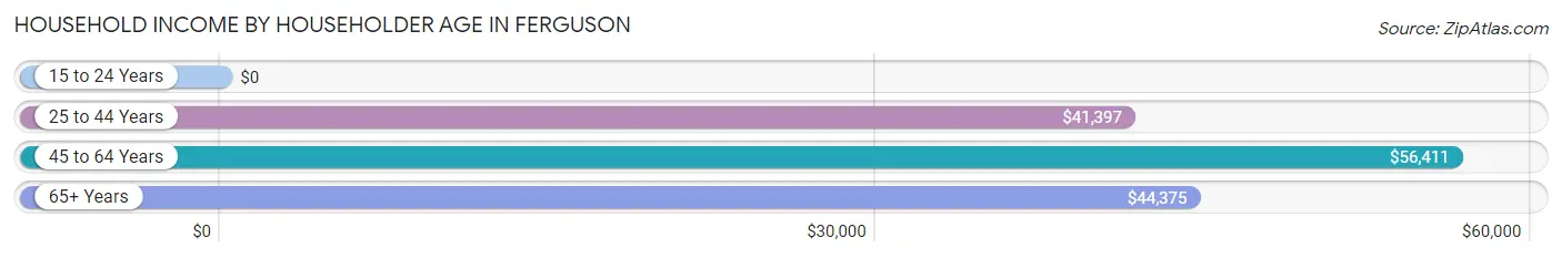 Household Income by Householder Age in Ferguson