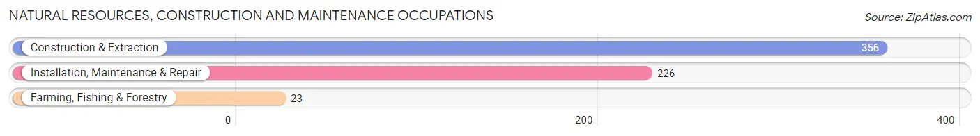 Natural Resources, Construction and Maintenance Occupations in Ferguson