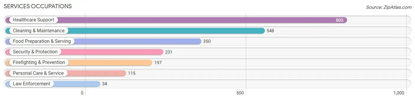 Services Occupations in Ferguson