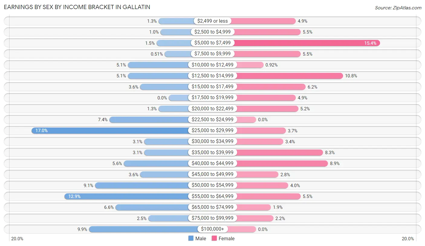 Earnings by Sex by Income Bracket in Gallatin