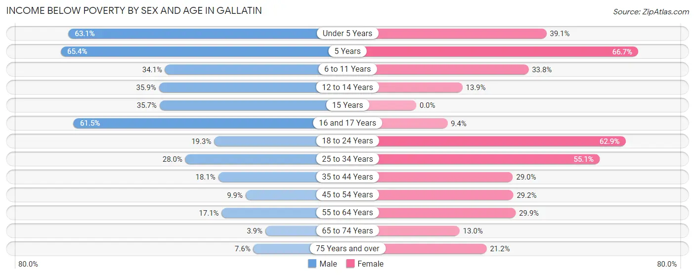 Income Below Poverty by Sex and Age in Gallatin