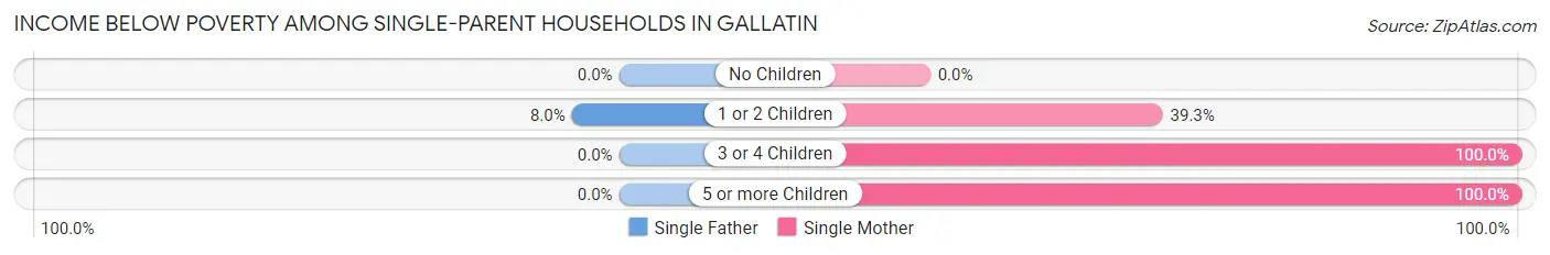 Income Below Poverty Among Single-Parent Households in Gallatin