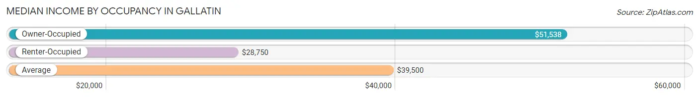 Median Income by Occupancy in Gallatin