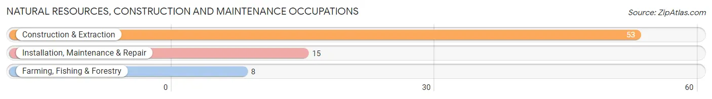 Natural Resources, Construction and Maintenance Occupations in Gallatin