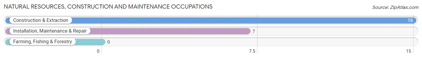 Natural Resources, Construction and Maintenance Occupations in Lake Winnebago