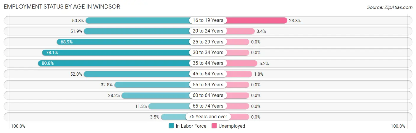 Employment Status by Age in Windsor