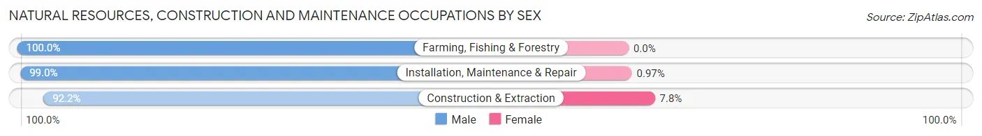 Natural Resources, Construction and Maintenance Occupations by Sex in Tupelo