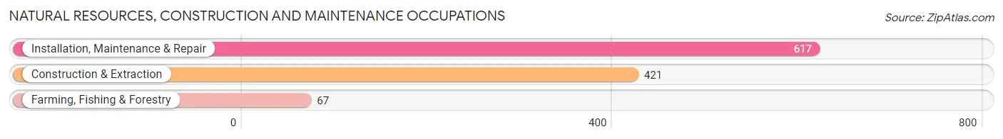 Natural Resources, Construction and Maintenance Occupations in Tupelo