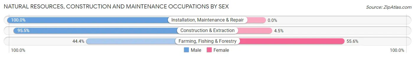 Natural Resources, Construction and Maintenance Occupations by Sex in Chapel Hill