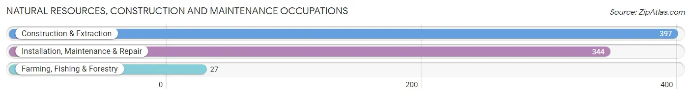 Natural Resources, Construction and Maintenance Occupations in Chapel Hill