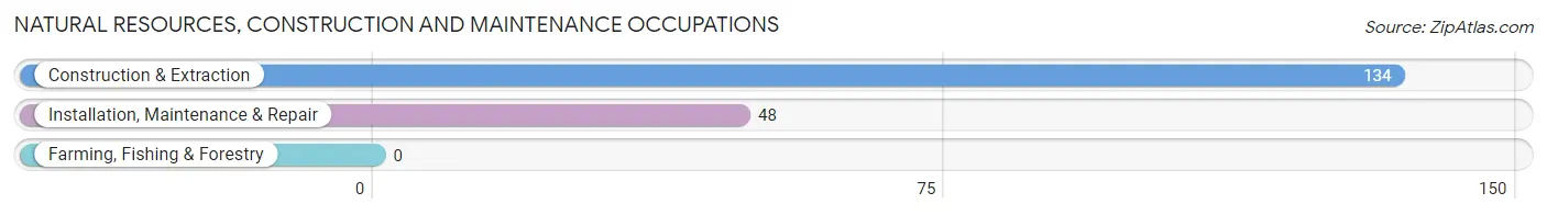 Natural Resources, Construction and Maintenance Occupations in Haw River